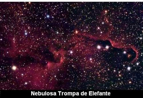Nebulosa Trompa de Elefante.jpg